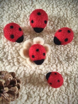 Cinq coccinelles feutrées à l'aiguille rouge et noire de petite taille