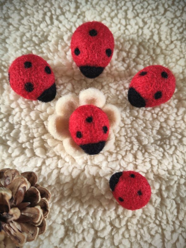 Cinq coccinelles feutrées à l'aiguille rouge et noire de petite taille